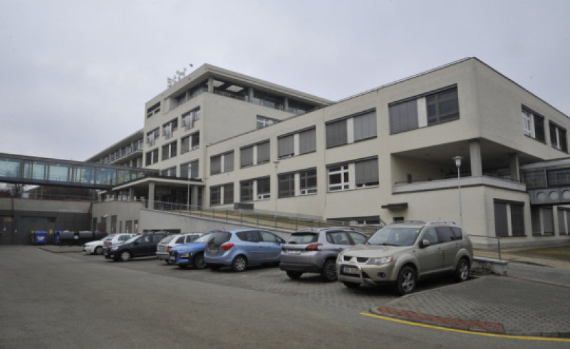 Vědci popsali, proč se někdy nádor mízních uzlin změní v agresivní