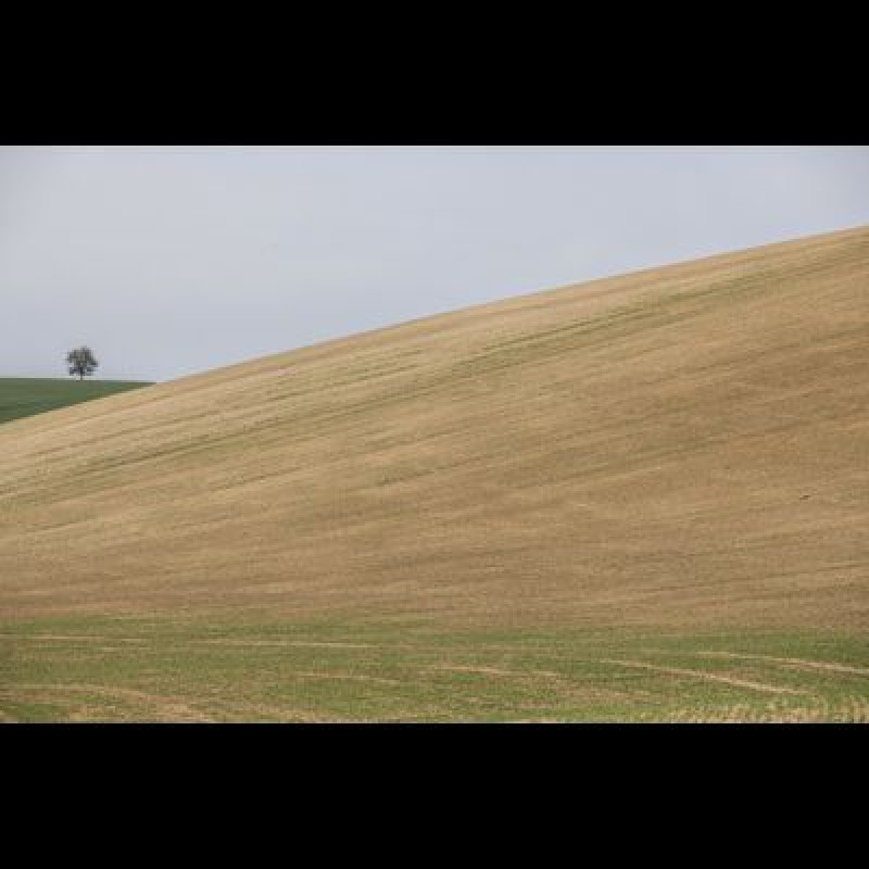 Poprvé v historii se pokusíme obnovit, co už jsme v přírodě zničili by Týdeník Respekt