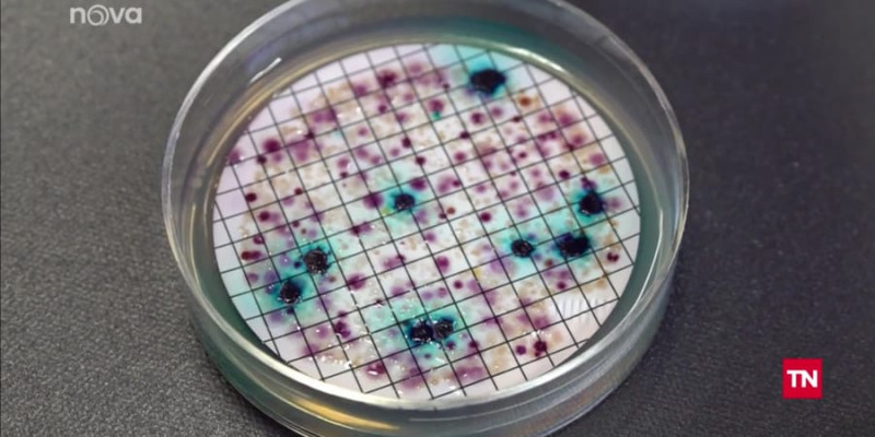 Místo dnů jen hodiny: Metoda vědců z liberecké univerzity urychlí