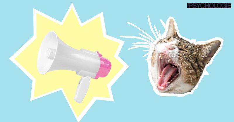 Mojepsychologie.cz - Co je catcalling a jak na něj správně reagovat?