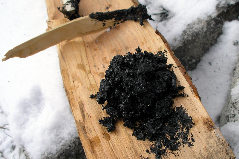 Neandertálci možná znali léčivé účinky březového dehtu a využívali ho k ochraně před infekcemi