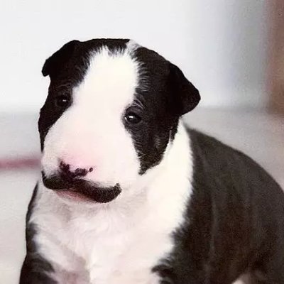 Jam